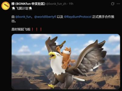 热门Meme项目BONK.fun 官方中文Twitter（X）账号已正式上线